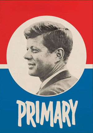 Primary poszter