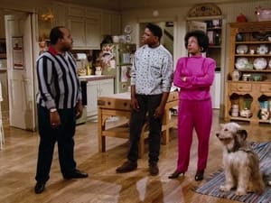 Family Matters Season 1 Ep.13 13. epizód