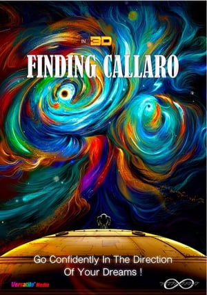 Finding Callaro poszter