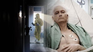 Litvinenko kép