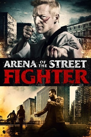 Arena of the Street Fighter poszter