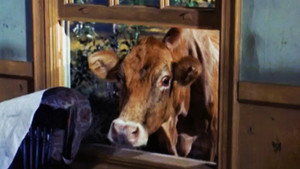 Green Acres Season 1 Ep.4 4. epizód