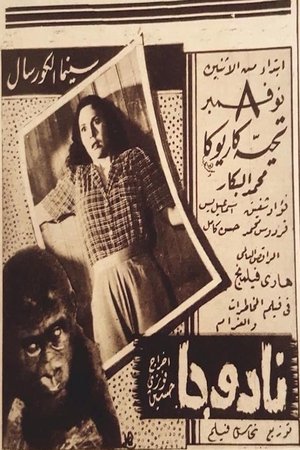 نادوجا poszter