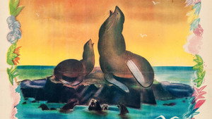 Seal Island háttérkép