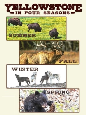 Yellowstone in Four Seasons poszter