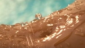 Playboy: Wet & Wild V háttérkép
