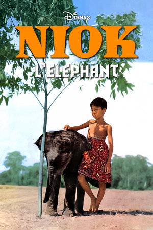 Niok l'éléphant poszter