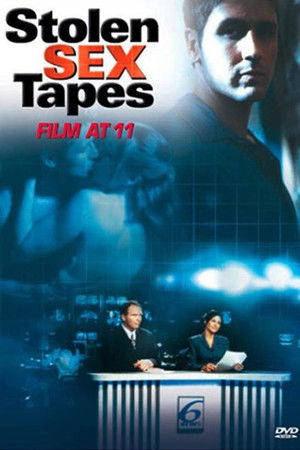 Stolen Sex Tapes poszter