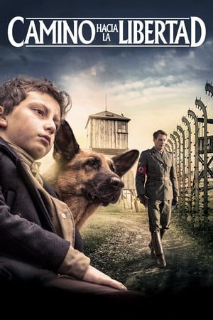 Shepherd: The Story of a Jewish Dog poszter