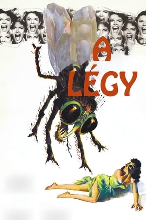 A légy