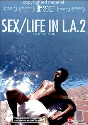 Cycles of Porn: Sex/Life in L.A., Part 2 poszter