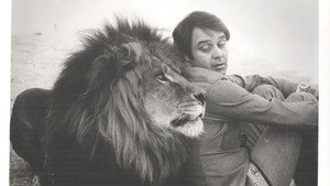 Frasier, the Sensuous Lion háttérkép