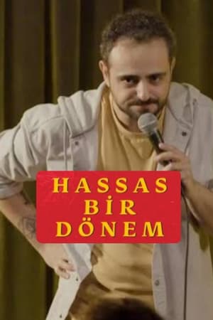 Hassas Bir Dönem - İsmail Türküsev poszter