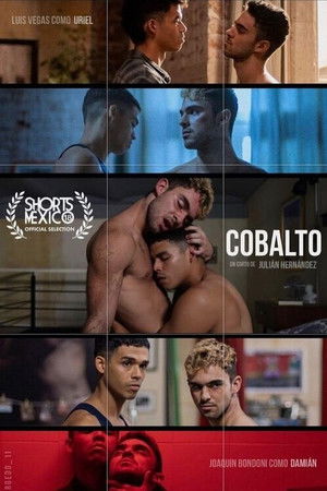 Cobalto poszter