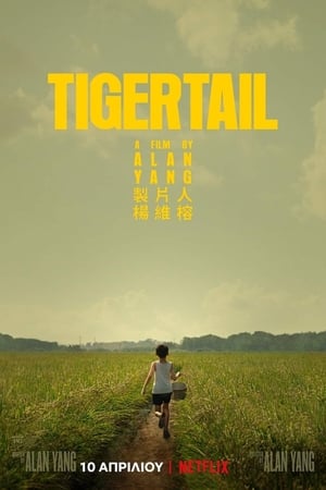 Tigertail – A mi történetünk poszter