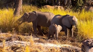 Namibia, Sanctuary of Giants háttérkép