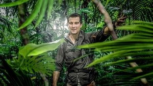 The Island with Bear Grylls kép
