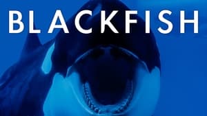 Blackfish – Egy kardszárnyú delfin története háttérkép