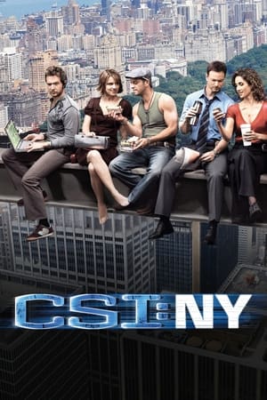 CSI: New York-i helyszínelők poszter