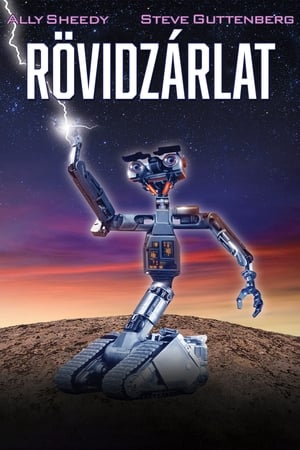 Rövidzárlat