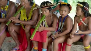 Amazonie, les murmures de la forêt háttérkép