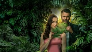 Mystery Island: Winner Takes All háttérkép