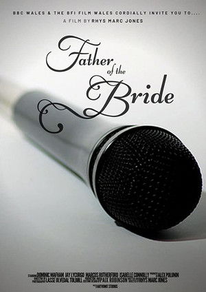Father of the Bride poszter