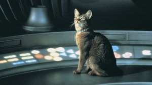 Macska az űrből háttérkép