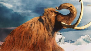 Mammoth Unearthed háttérkép