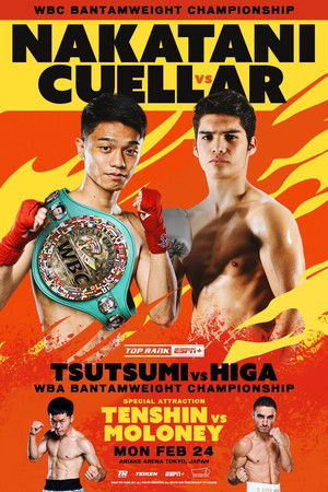 PRIME VIDEO BOXING 11 poszter