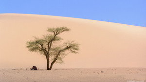 Fin de viaje, Sahara háttérkép