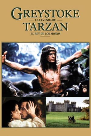 Tarzan, a majmok ura poszter