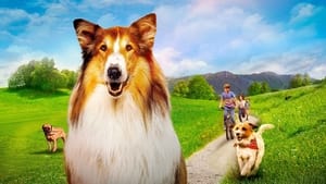 Lassie - Állati mentőakció háttérkép