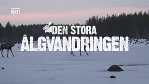 Den stora älgvandringen Specials Ep.10 10. epizód