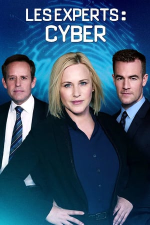 CSI: Cyber helyszínelők poszter