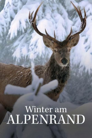 Winter am Alpenrand poszter