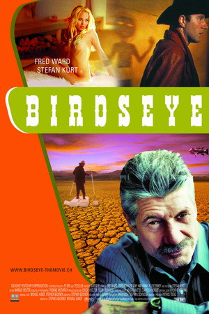 Birdseye poszter