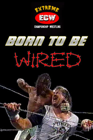 ECW Born To Be Wired poszter