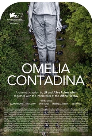 Omelia Contadina poszter