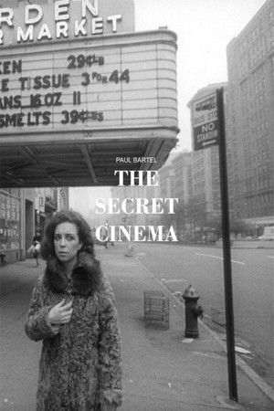 The Secret Cinema poszter