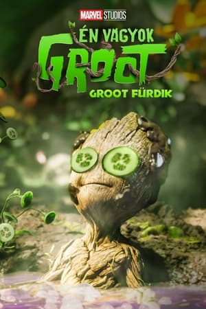 Groot fürdőt vesz