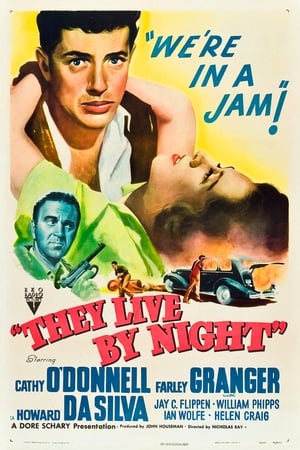 They Live by Night poszter