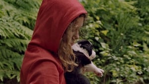 Vind die domme trut en gooi haar in de rivier háttérkép