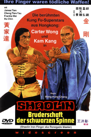 Shaolin Iron Finger poszter