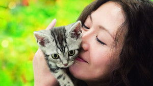 グーグーだって猫である háttérkép