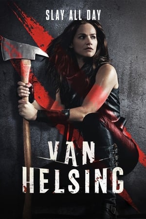 Van Helsing poszter