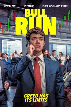 Bull Run poszter
