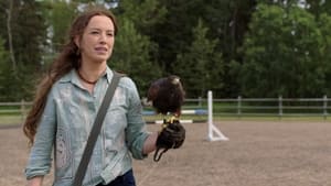 Heartland 18. évad Ep.7 7. epizód