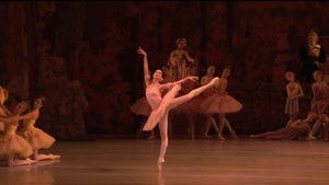 Don Quixote - Mariinsky Theatre háttérkép