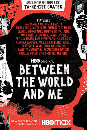 Between the World and Me poszter